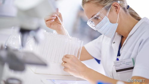 攀枝花试管代生代怀全流程揭秘：从胚胎培养到成功分娩的真实经历